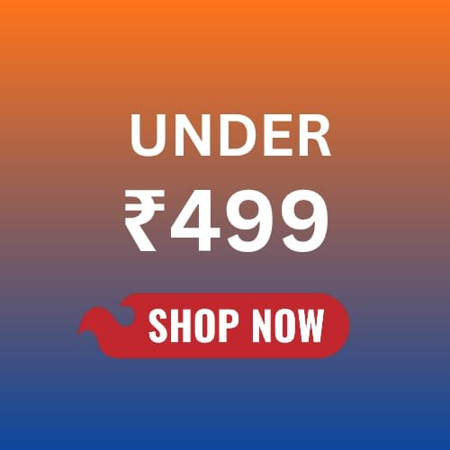 Under ₹499